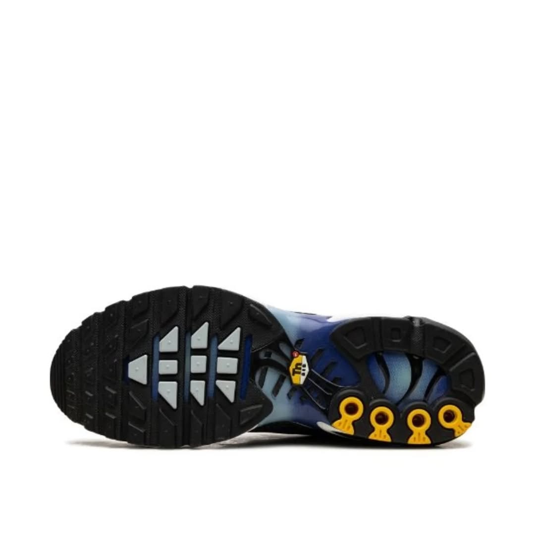 Nike Air Max Plus TN "Kiss My Airs - Grey Safari"