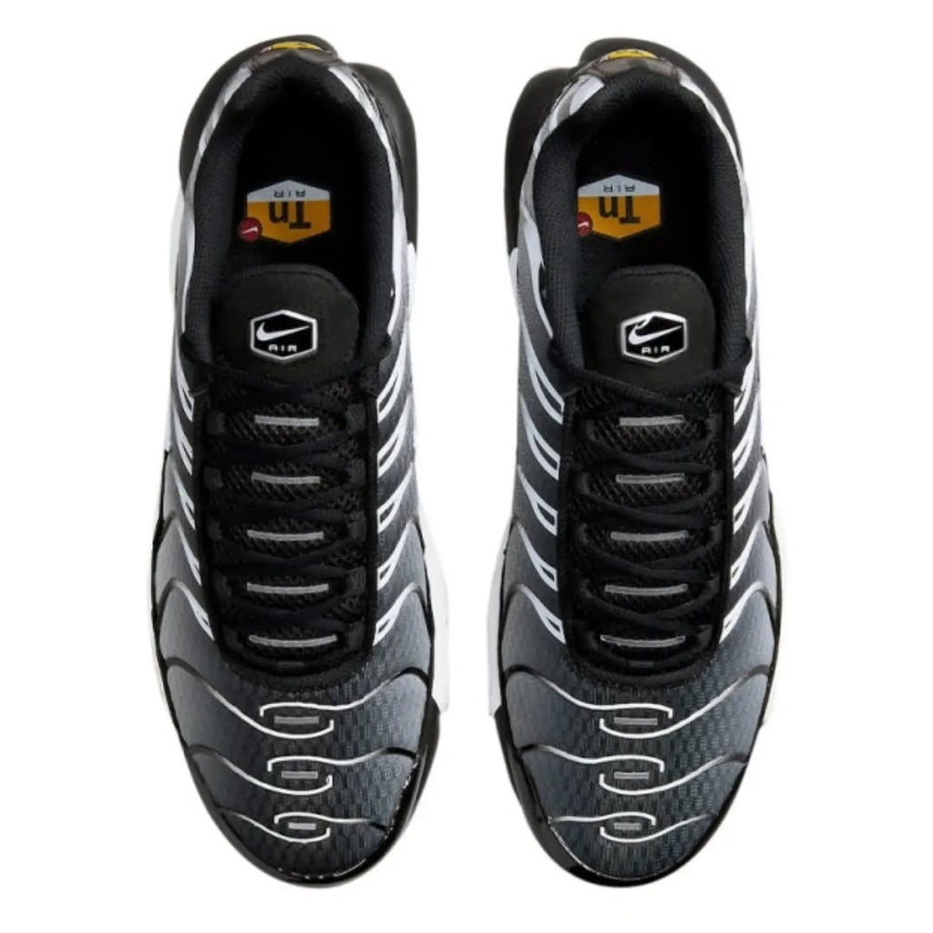Nike Air Max Plus TN "Reverse Sunset Gradient"