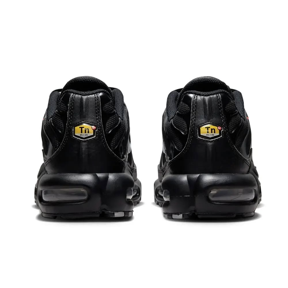 Nike Air Max Plus TN "Multi-Swoosh Black"