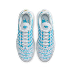 Nike Air Max Plus TN "Ice Grid"