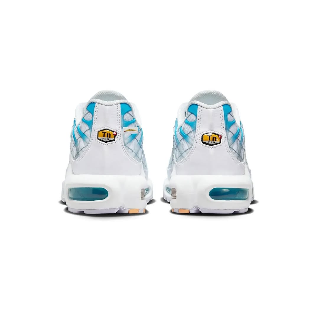 Nike Air Max Plus TN "Ice Grid"