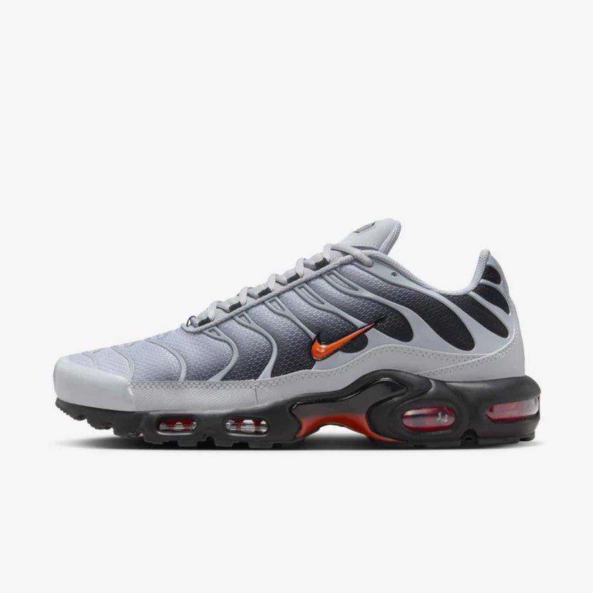 Nike Air Max TN "Wolf Grey"