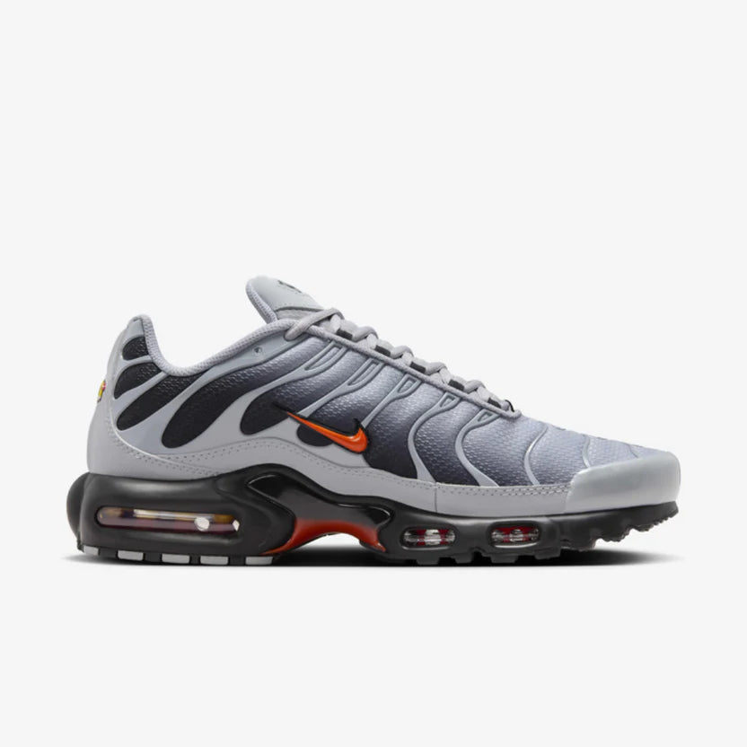 Nike Air Max TN "Wolf Grey"