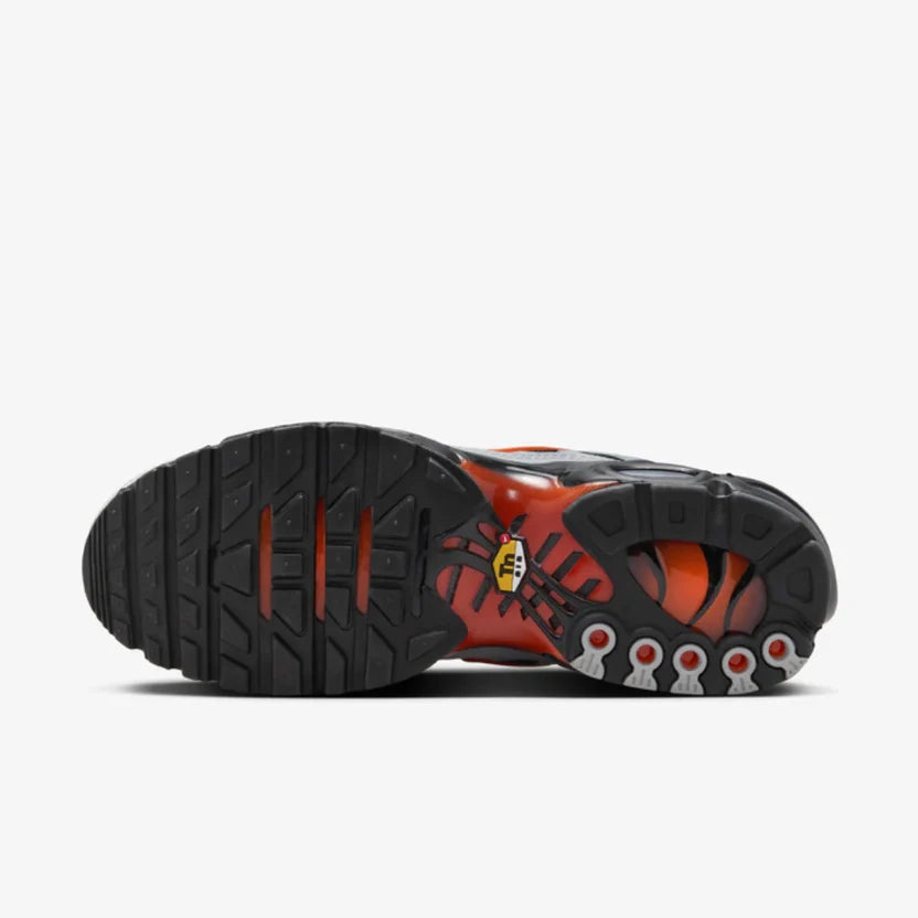 Nike Air Max TN "Wolf Grey"