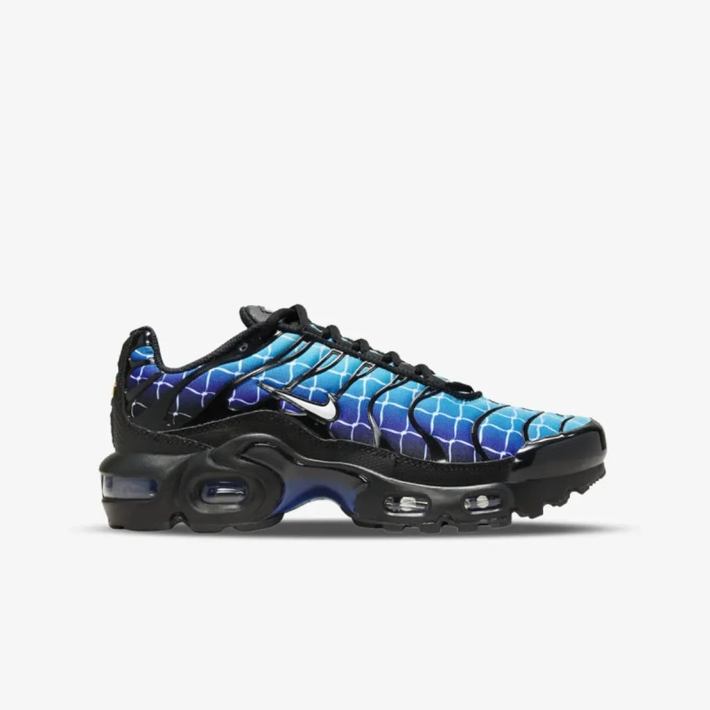 Air Max Plus “Blue Spider Web”