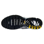 Nike Air Max Plus TN Panda