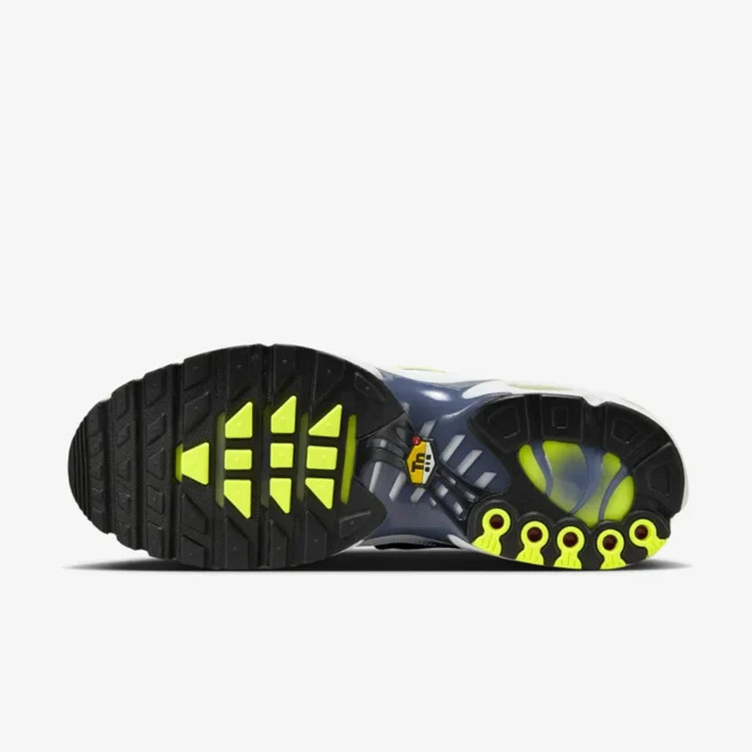 Nike Air Max TN "Pebble Grey"