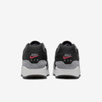 Nike Air Max 1 '87 Premium "Dark Smoke Grey"