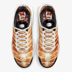 Nike Air Max Plus TN "Light Photography"