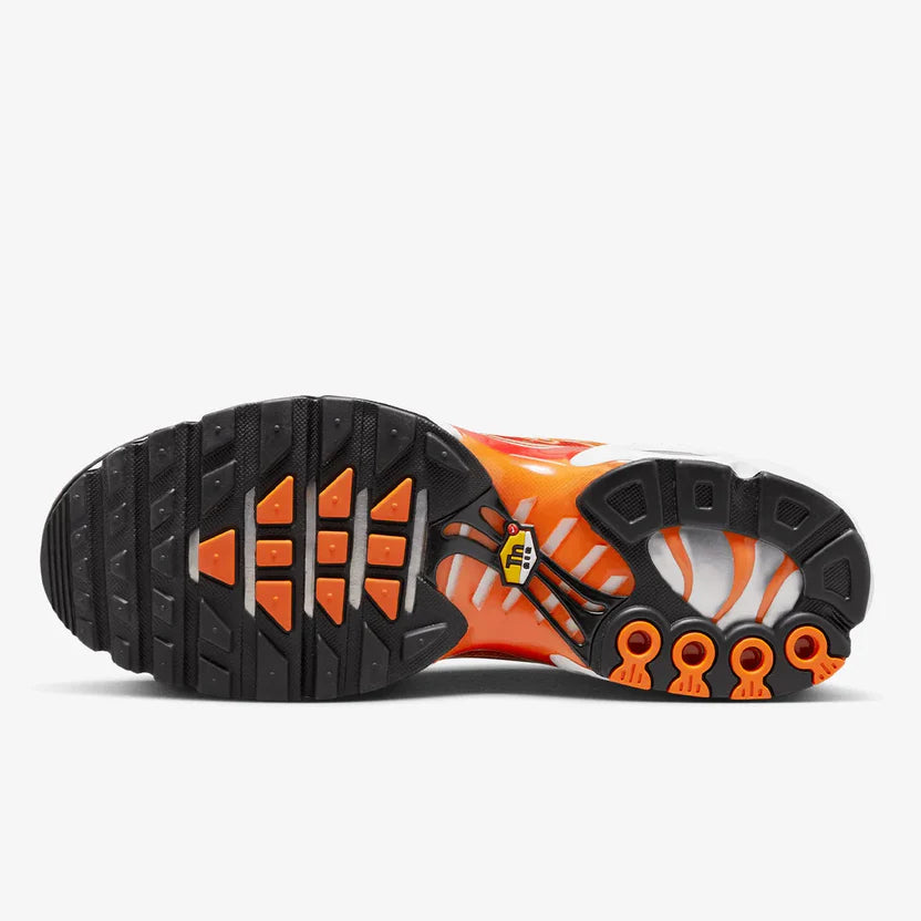 Nike Air Max TN "Light Photography"