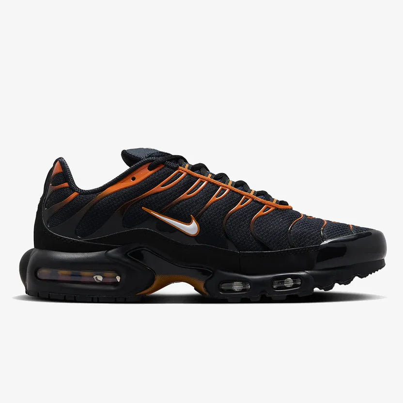 Nike Air Max TN "Dark Obsidian Monarch"