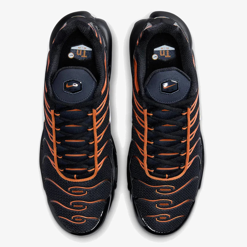Nike Air Max TN "Dark Obsidian Monarch"