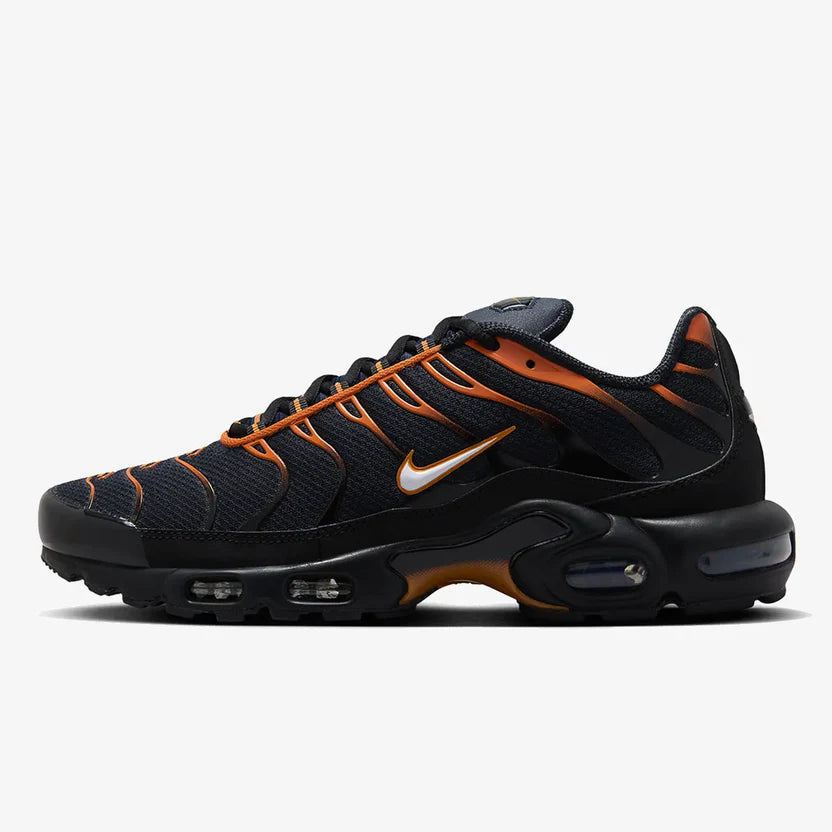 Nike Air Max TN "Dark Obsidian Monarch"