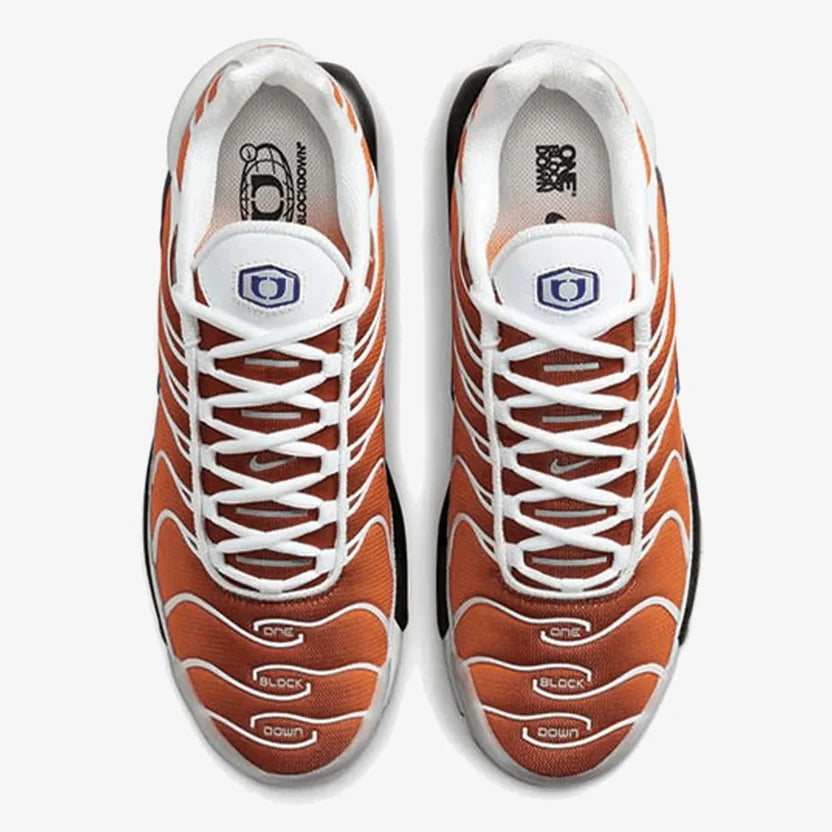 Nike Air Max TN "One Block Down Chutney"