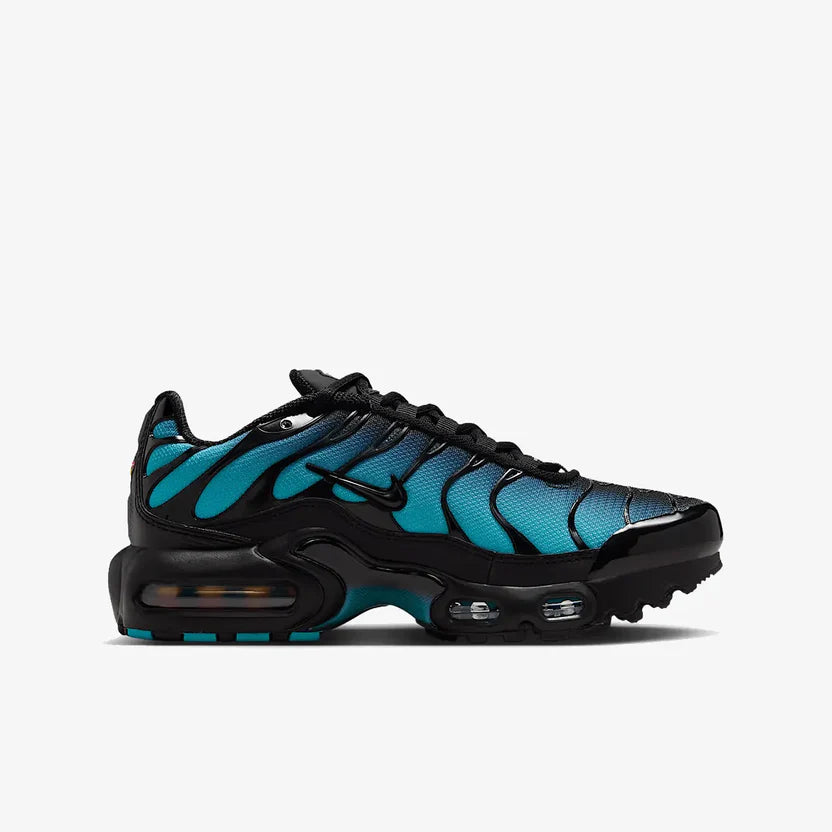Nike Air Max TN "Black Dusty"