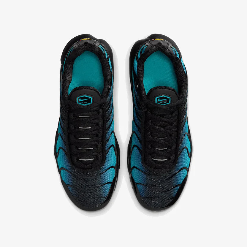Nike Air Max TN "Black Dusty"