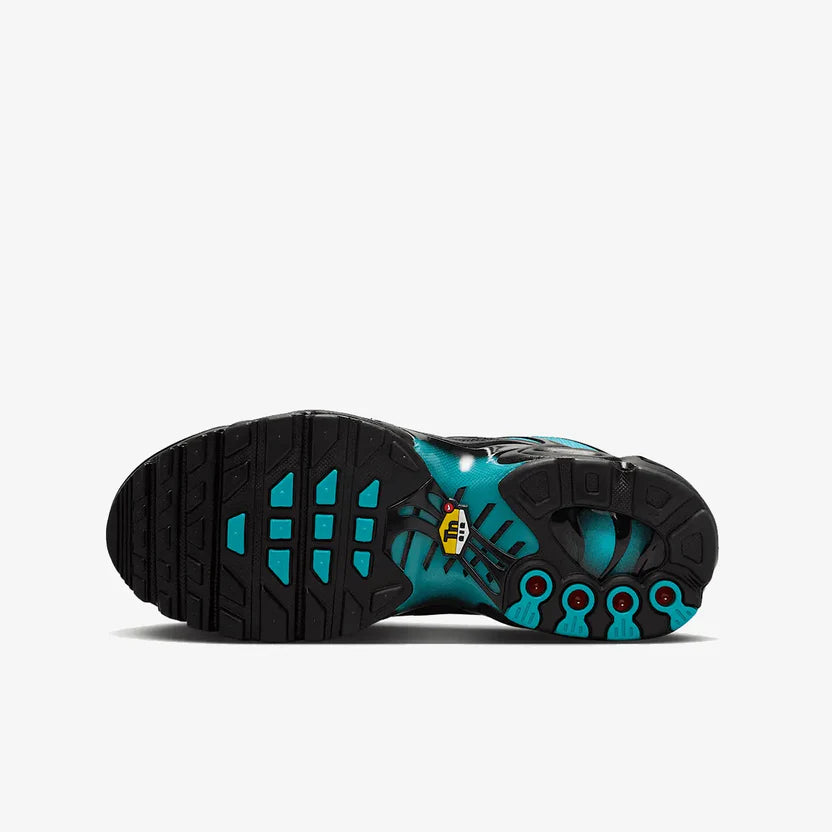 Nike Air Max TN "Black Dusty"