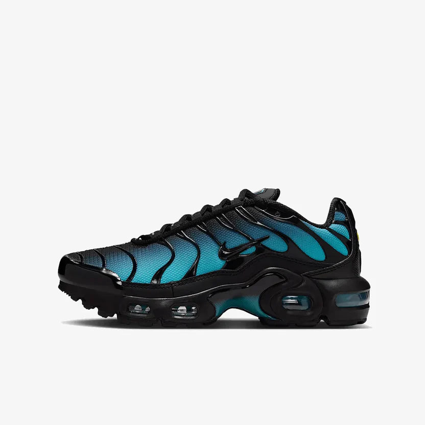 Nike Air Max TN "Black Dusty"