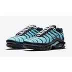 Nike Air Max Plus TN "Aqua Silver"