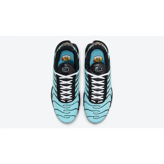 Nike Air Max TN "Aqua Silver"