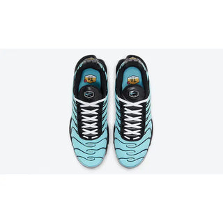 Nike Air Max Plus TN "Aqua Silver"