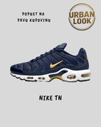 Nike Air Max Plus (French Football Federation) — naslovna