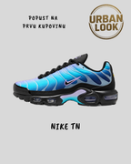 Nike Air Max Plus (Black Hydrangeas) — naslovna